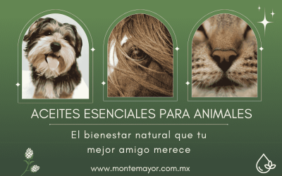 Aceites esenciales para animales